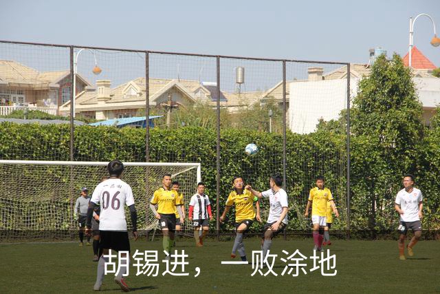 胡锡进，一败涂地